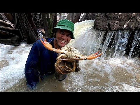 Hình Trình Bắt Cua Biển Cần Giờ Tập 115 Thăm Bến Cua Được Cặp Cua Ở Riêng /Đạt Nguyễn Cần Giờ