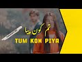 Tum Kon piya with Urdu lyrics | Aesthetic |#ost #urdulyrics  #tumkonpiya