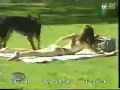 Dog and Beautiful lady, ALL FOR DOGS