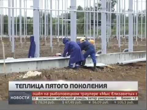 Отопление для теплиц промышленных Отопление для теплиц промышленных