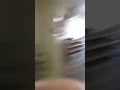 Black Dave gets flagged
