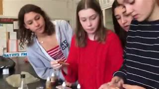 2018-2019 Water Docs @ School Action Projects Best Film - Bacteria That Bites