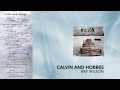 Calvin And Hobbes Video preview