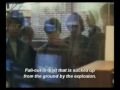 Doleful Lions-Hazlehurst