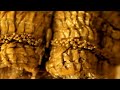 Flétta Video preview