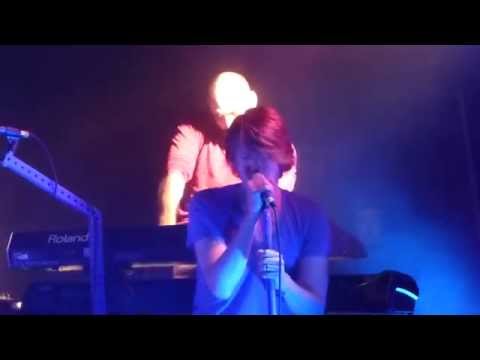 Gonzo Video