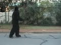 Gorilla Attack Prank - VERY FUNNY!