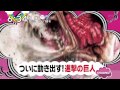 Shingeki No Kyojin : The Live Action Movie - Official Trailer [HD]