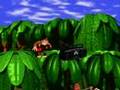 Donkey Kong Country intro