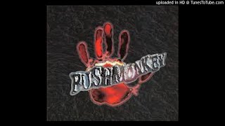 Watch Pushmonkey Mine To Waste video