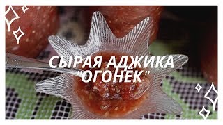 СЫРАЯ АДЖИКА "ОГОНЁК"🍅🌶ПЕРВУЮ ПОРЦИЮ УЖЕ ЕДИМ СЫРАЯ АДЖИКА "ОГОНЁК"🍅🌶ПЕРВУЮ ПОРЦИЮ УЖЕ ЕДИМ