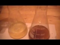 Kitchen Table Factory : Video # 6 : How to Remove the Soap Co Product from Raw Biodiesel