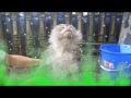 Ngintip Yang Mandi 17 Ke Atas By Wong 3d Production images Ngintip Yang Mandi 17 Ke Atas By Wong 3d Production