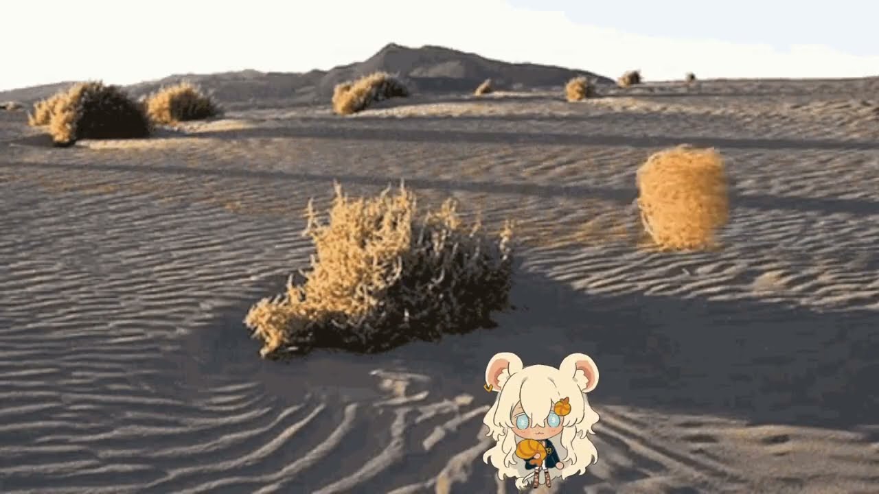 Экскурсия по пустыне с секс перекурами