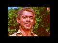 രാജഹംസം | | Malayalam Full Movie | | Evergreen Movies | | Prem Nazir Jayabharathi Srividhya