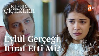 Ali, Cinayetle Ilgili Eylülün Ağızını Arıyor Kırgın Çiçekler Mix Sahneler