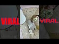 Girl Bathroom Recording Video || Viral || Hidden Camera