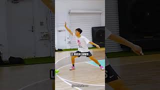Basketteur De Rue Vs Pro...