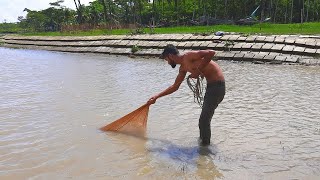 Cast Net Fishing I Megna River Catching Fish I Bhola Daily Life