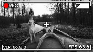 Creaturi Gigantice Prinse Pe Camera Video Creepy