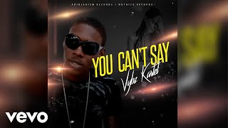 Watch Vybz Kartel You Cant Say video