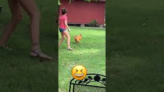 Chicken Chasing Girl