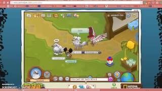 Report Sammie5 And Buzzy0 For Scamming