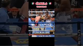 Canelo Punch 🥊 #Boxing #Boxer #Mma #Training #Fighter #Kickboxing #Canelo