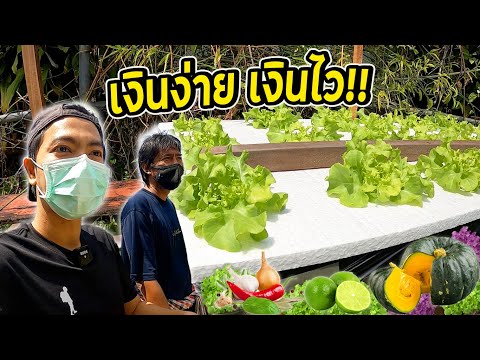 เงินง่าย เงินไว!! อีกหนึ่งช่องทางหาเงินในช่วง Work From Home