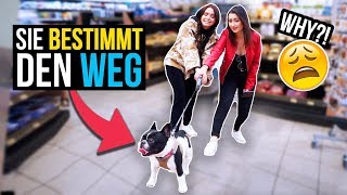 WTF, WO SIND WIR?! ?unser HUND bestimmt den Spaziergang!