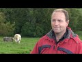 Teagasc BETTER Farm Beef Programme - Marty Lenihan