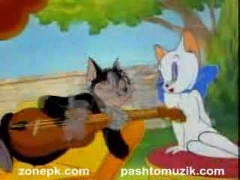 funny song. Pashto-Funny-Song