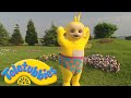 Teletubbies | Laa-Laa Wears Funny Underpants!  | Official Classic Full Episode