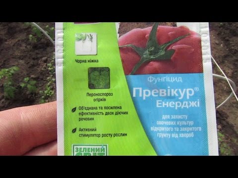 Необычный подарок любимой девушке на день рождения 13