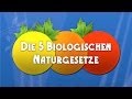 Die 5 Biologischen Naturgesetze - Die Dokumentation