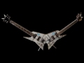 Unusual Guitars 2 Bush-Greedy Fly