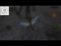 Wild Animals Online://Playing As Monsters
