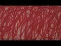 TateShots: Cy Twombly