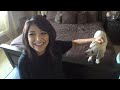 Pirillo Vlog 851 - Diana Rocks as a Mom!