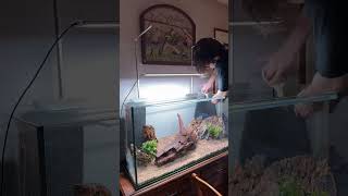 Aquarium 200 Litre Première Étape Le Hardscape