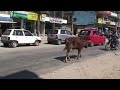 www.tnepal.com