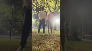 We Went A Little Too Crazy