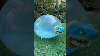 Incredible Asmr Video How I Blowing Up A Shark