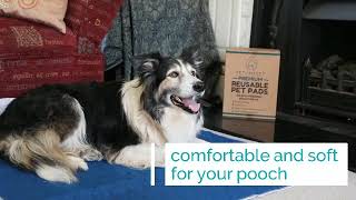 Reusable Pet Pads