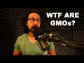 What even are GMOs? What even is processed food? (PODCAST E5)