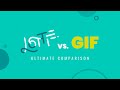 LOTTIE vs GIF - What's BETTER? Let's COMPARE! | TemplateMonster
