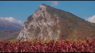 Sous Le Soleil, La Pierre Et Le Cep Avec Des Poèmes Valaisans