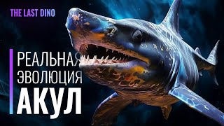 Реальная Эволюция Акул. От Мелкой Рыбы, До Мегалодона