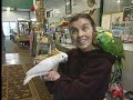 Lost Funding Affects Parrot Refuge