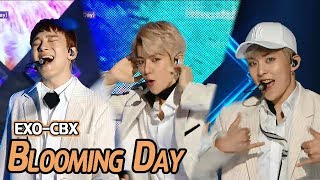 [Comeback Stage] EXO-CBX - Blooming Day, 엑소-첸백시 - 花요일 Show Music core 20180414